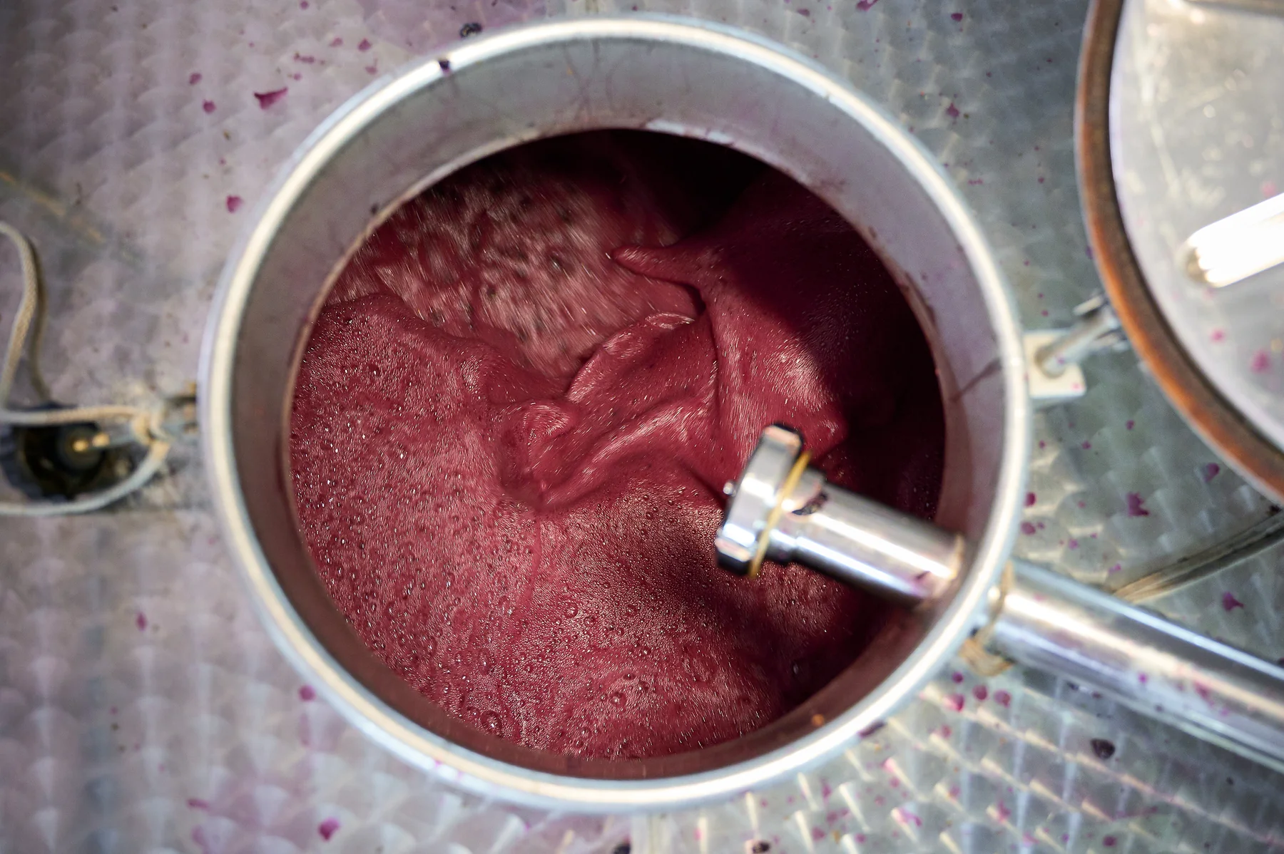 Mosto in fermentazione nel tino d'acciaio