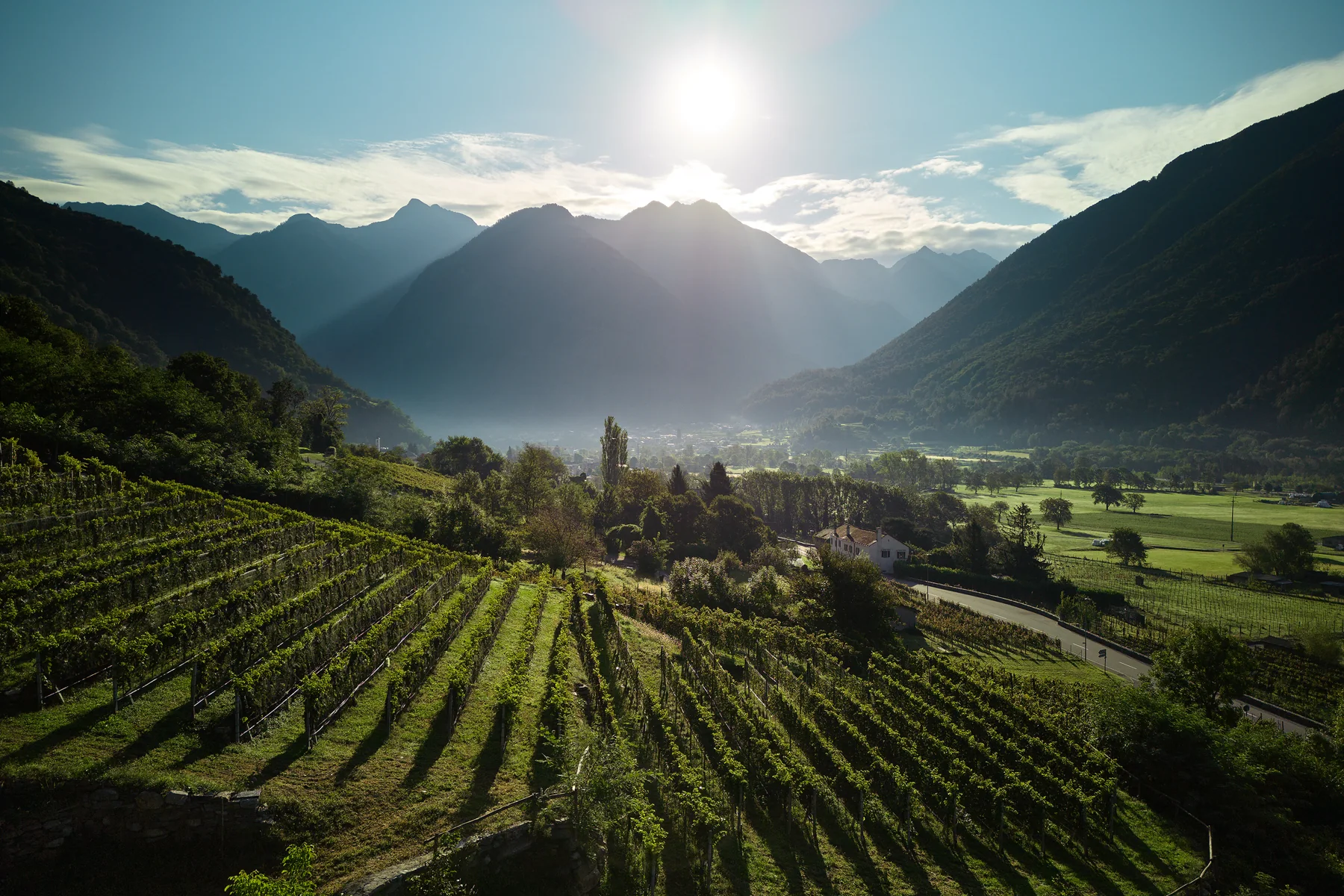 La valle della Mesolcina all'alba, con la luce che filtra tra le montagne